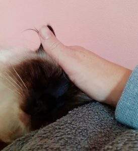 Reiki universele levensenergie