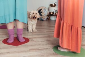 Betoverend Leven holistisch traject