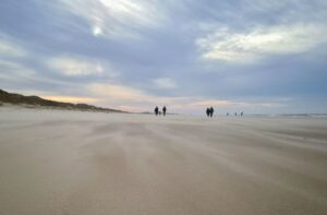 Hartopener stiltewandeling Betoverend Leven