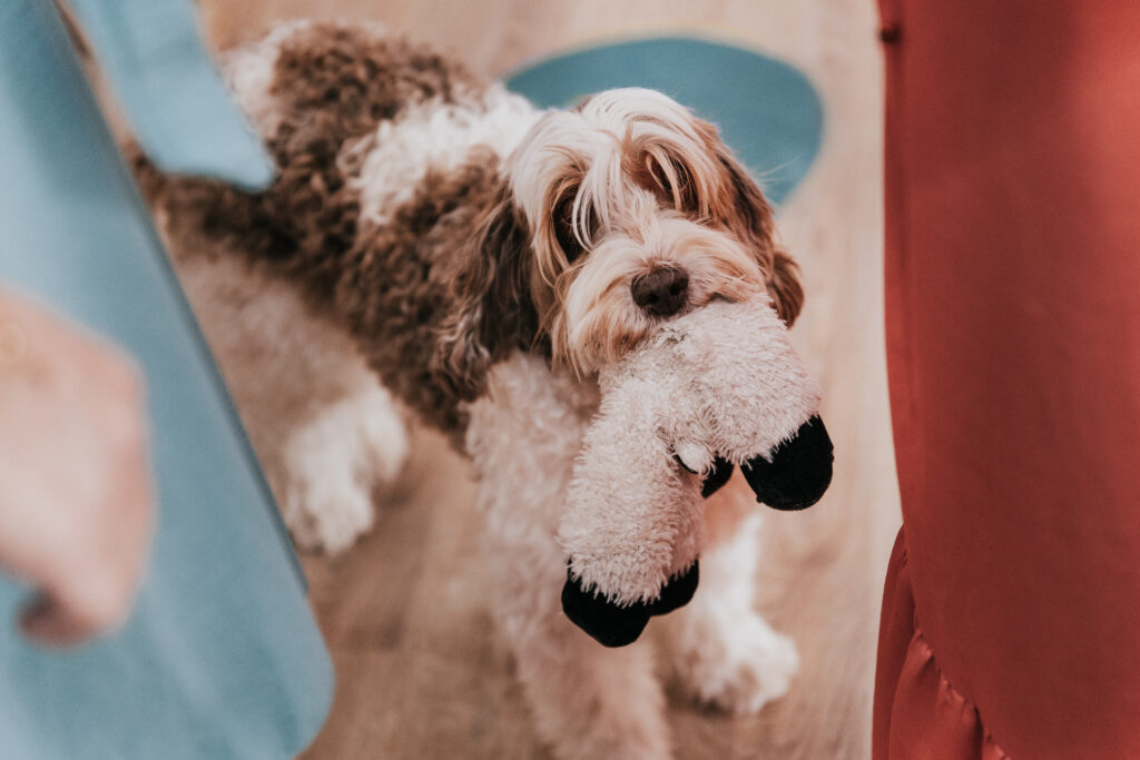 Systemisch opstellen Betoverend Leven