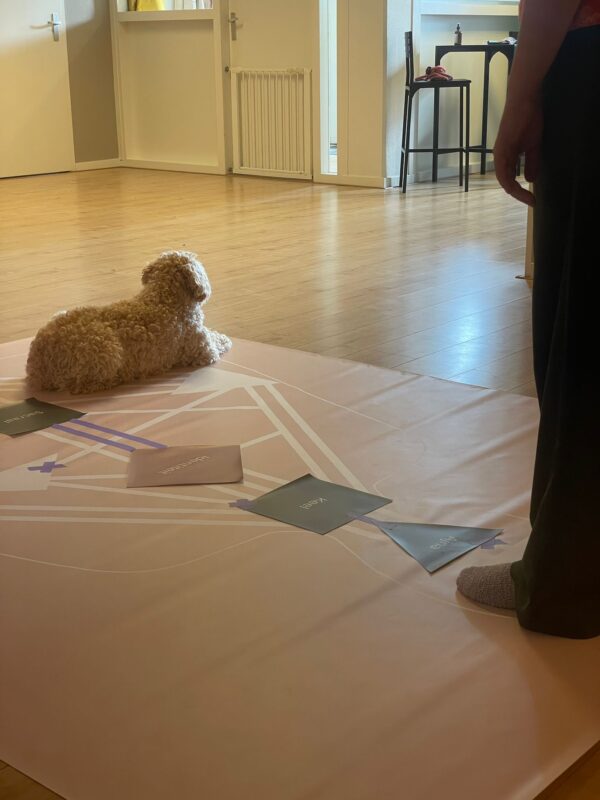 Systemisch opstellen met de hond