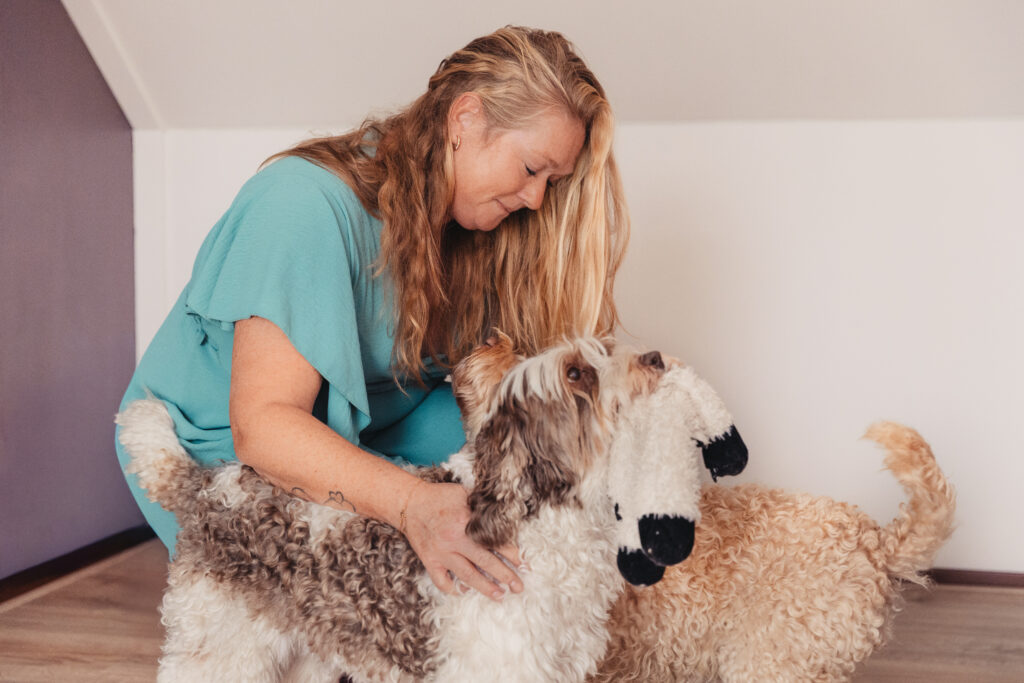 Systemisch werken met hond Betoverend Leven